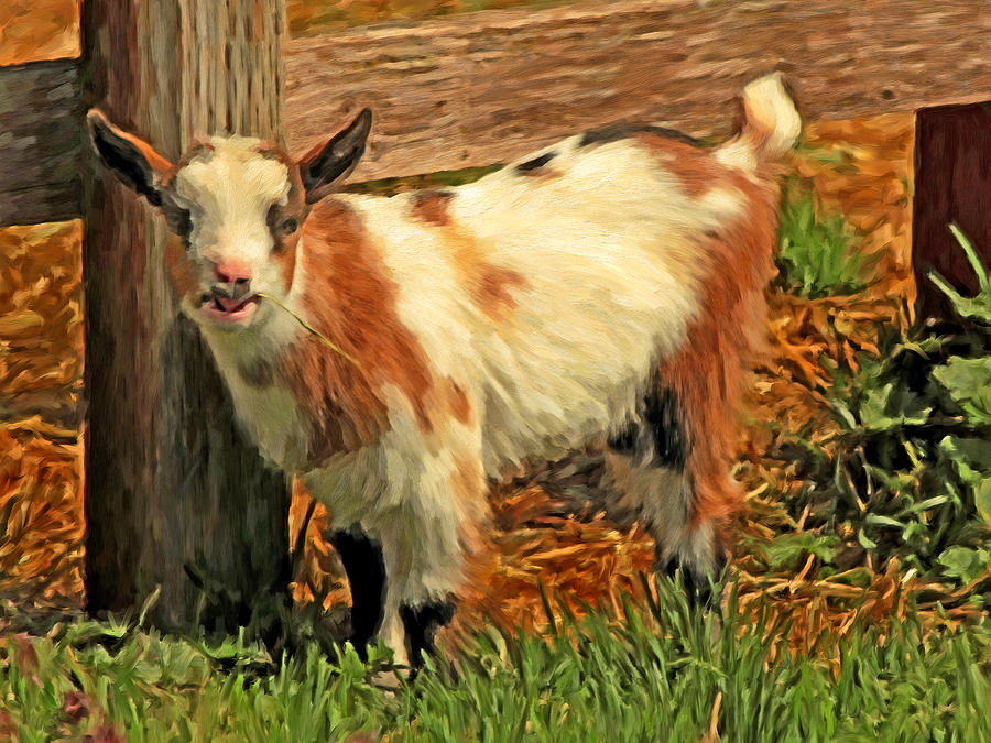 Beckys Goat Painting by Michael Pickett