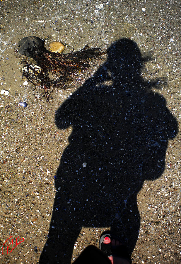 Becoming One With The Beach Stones Photograph by Colette V Hera Guggenheim