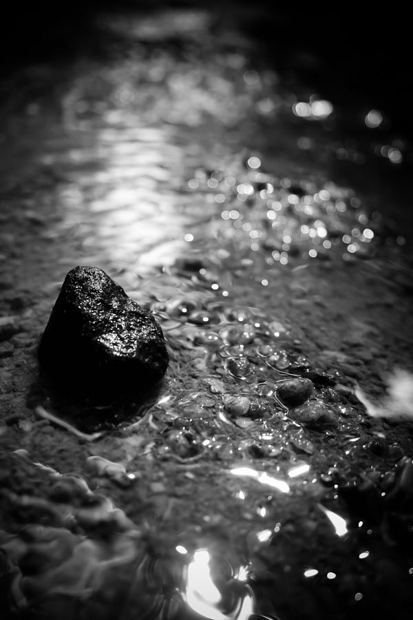 Black And White Photograph - Becoming the Stream by Jessica Brawley