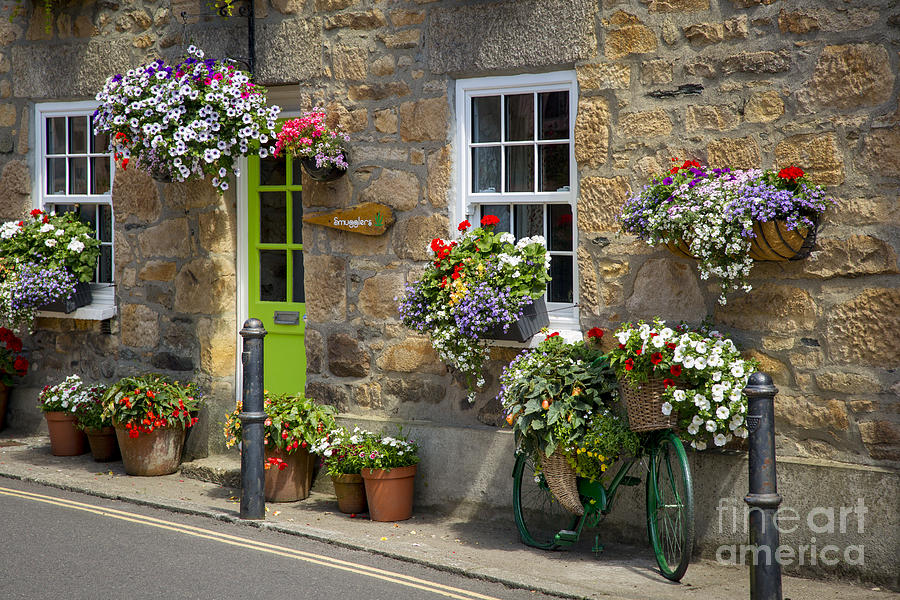 Flower Photograph - Bed and Breakfast - Cornwall by Brian Jannsen
