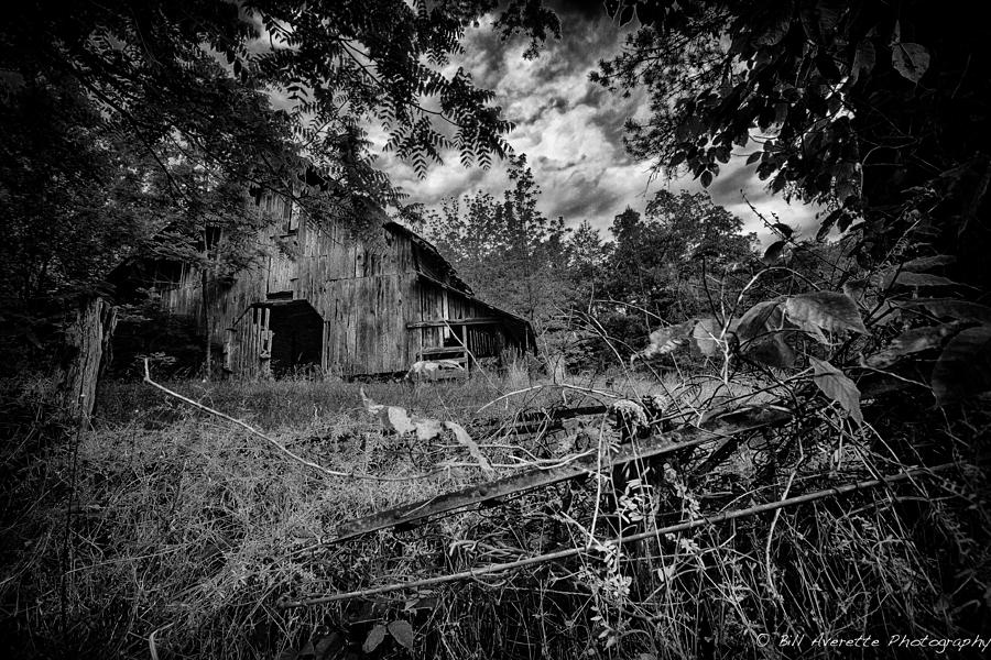 Bed springs by Bill Averette Bed springs by Bill Averette