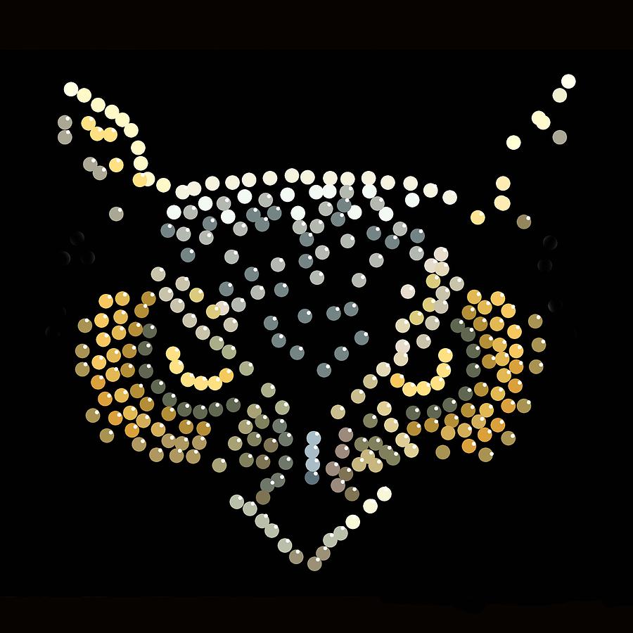 Bedazzled Owl Digital Art by R  Allen Swezey