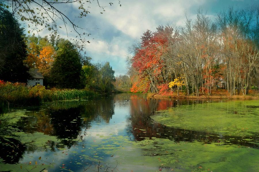 Bedford Hills Autumn Photograph by Diana Angstadt