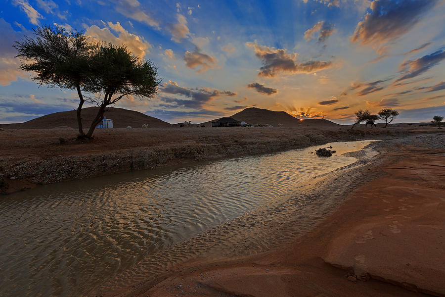 Bedouin camp and camels by water hole, Arabian Desert, Saudi Arabia Photograph by Tariq_m_1
