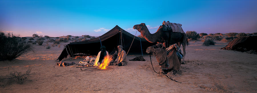 Desert Photograph - Bedouin Camp, Tunisia, Africa by Panoramic Images