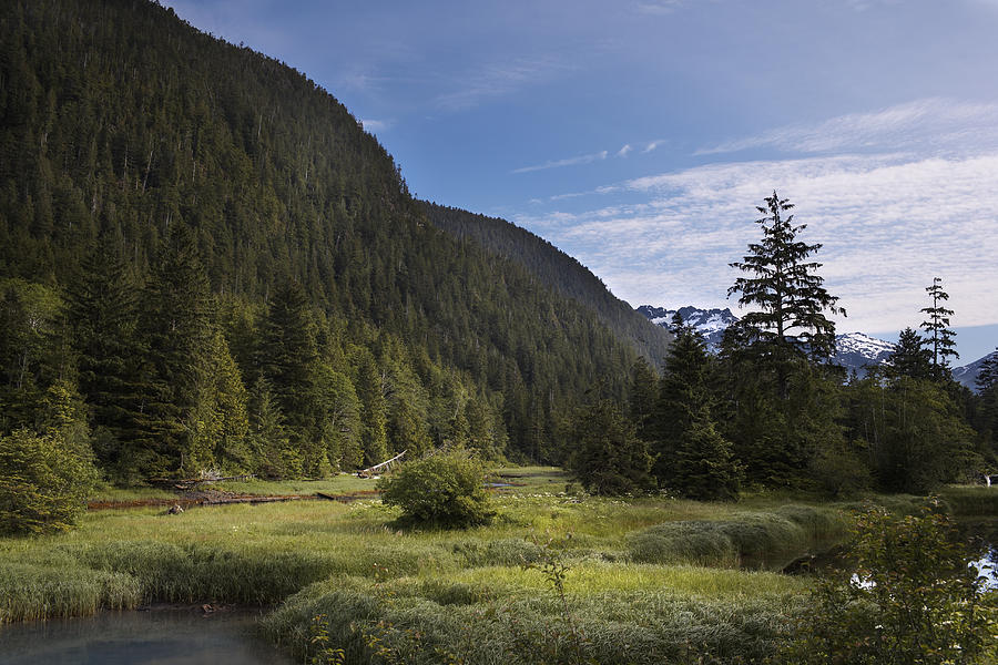 Bedwell sound mountains and forest. Photograph by Ryan McVay