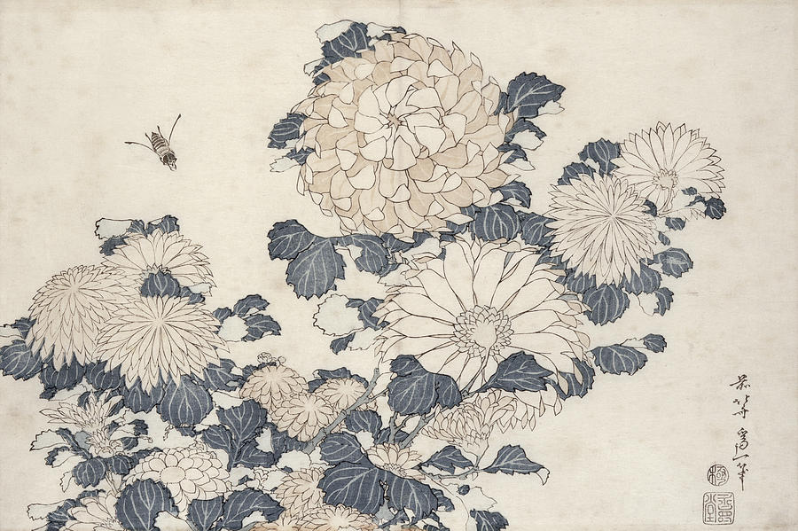 Hokusai Painting - Bee And Chrysanthemums by Katsushika Hokusai