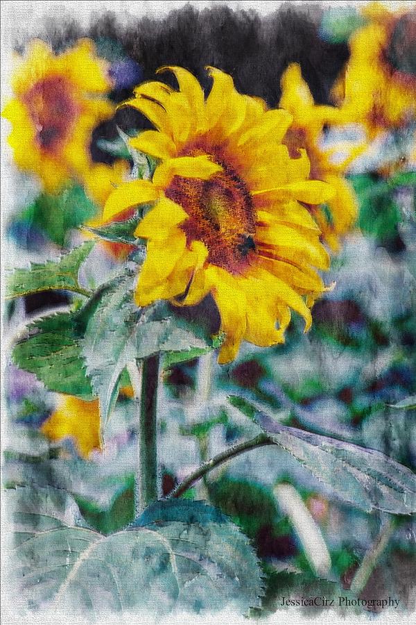 Bee and Sunflower Pastel Photograph by Jessica Cirz