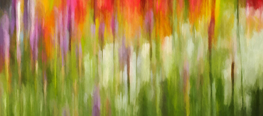Bee Balm Blazing Star and Daisy Abstract Photograph by Clare VanderVeen