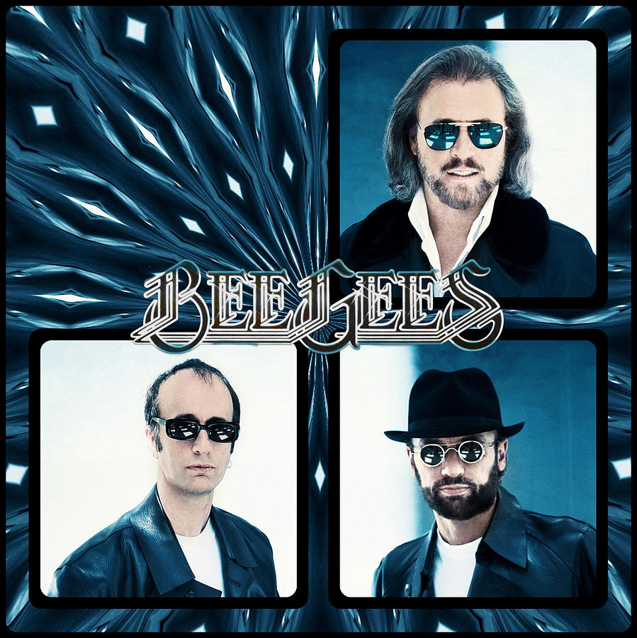 Bee Gees I Photograph by Sylvia Thornton