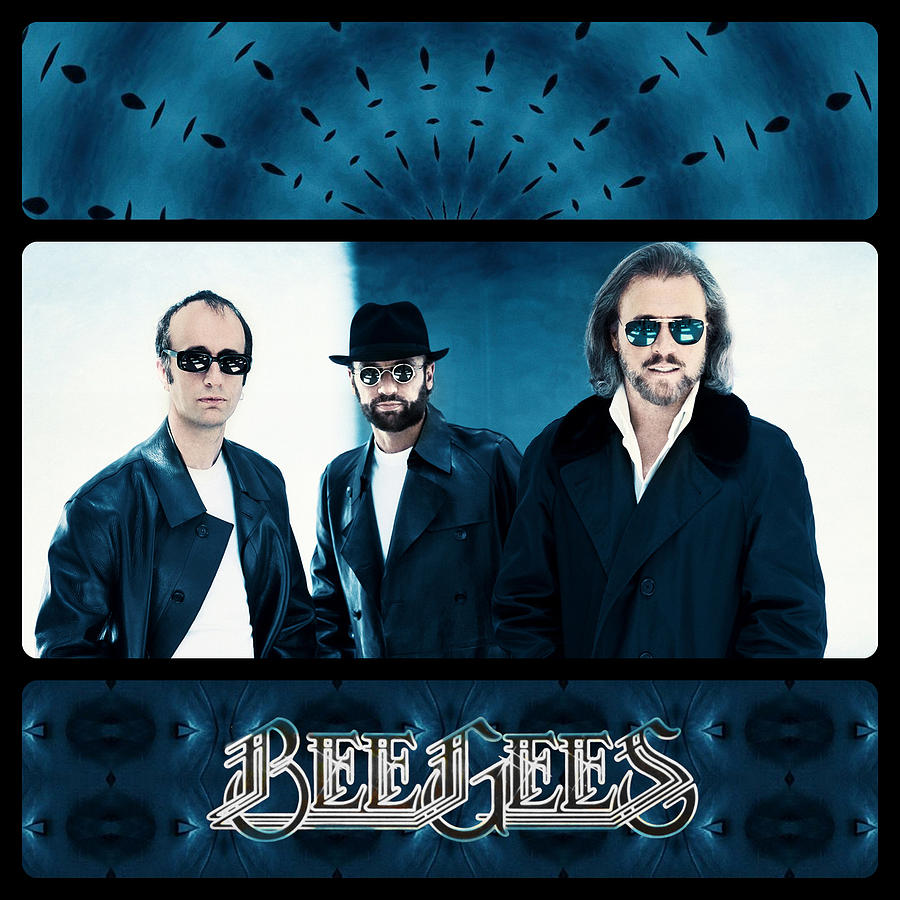 Bee Gees II Photograph by Sylvia Thornton