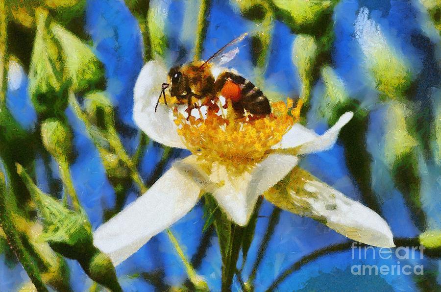 Insects Painting - Bee by George Atsametakis