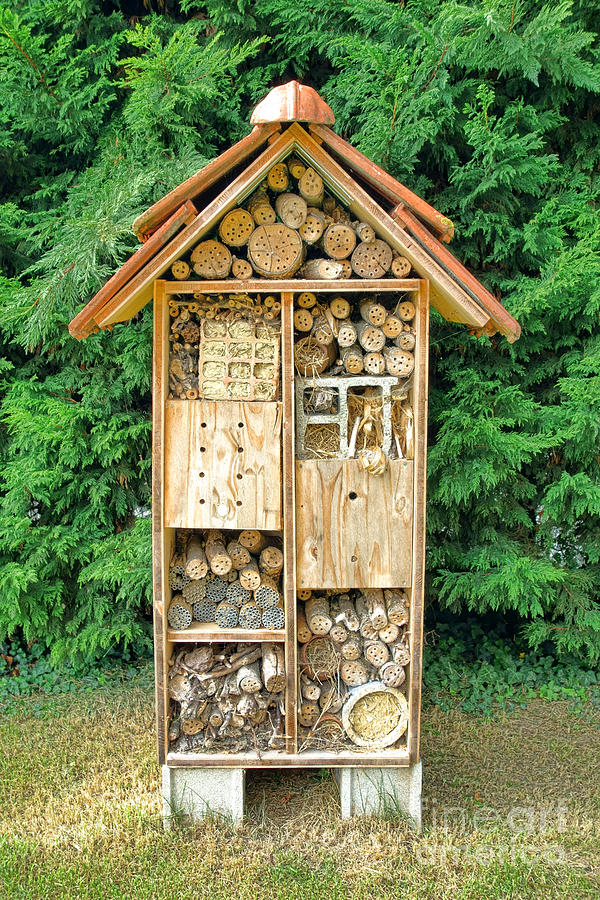 Bee House Photograph by Olivier Le Queinec