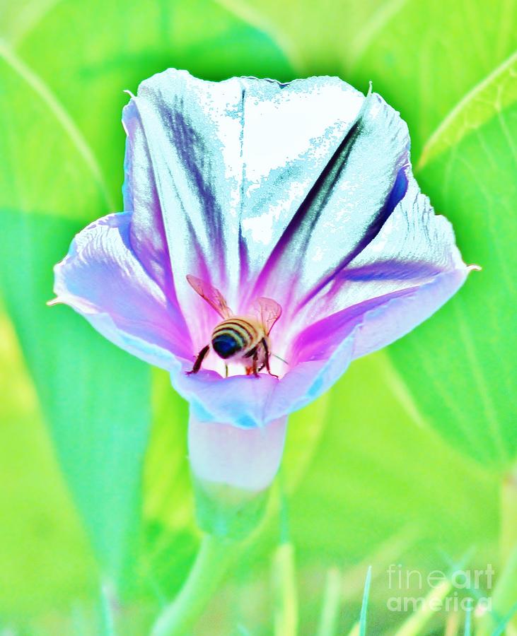 Bee in Pastel Photograph by Craig Wood