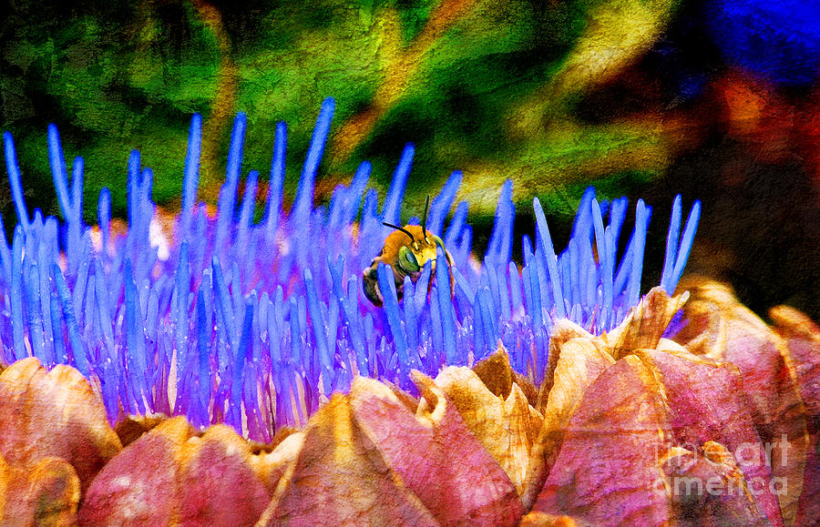 Artichoke Photograph - Bee On An Artichoke by Jeanette Brown