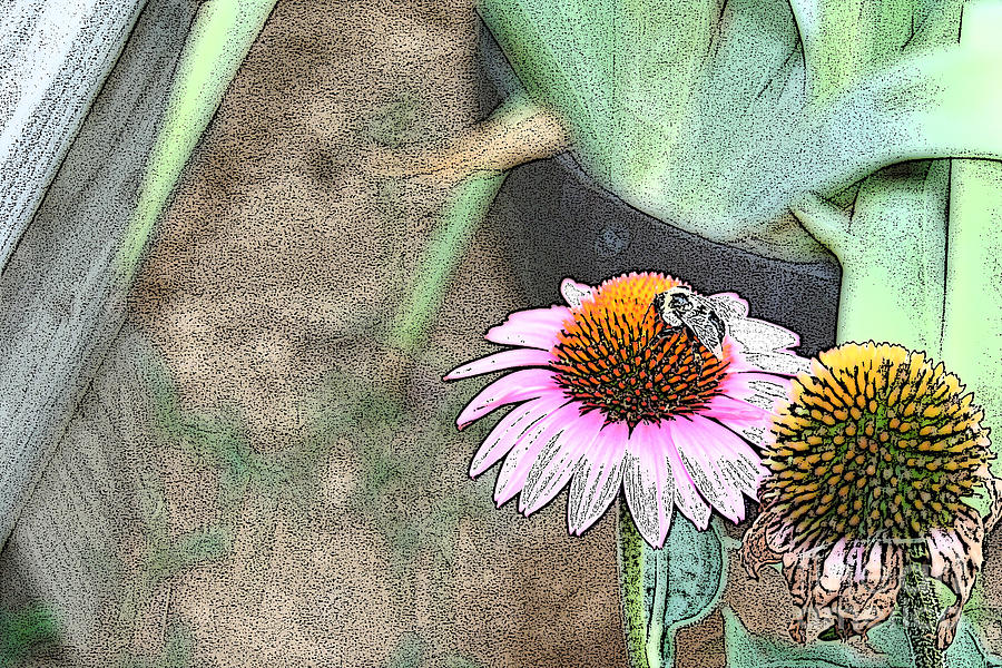 Bee on Cone Flower Digital Art by Lesa Fine