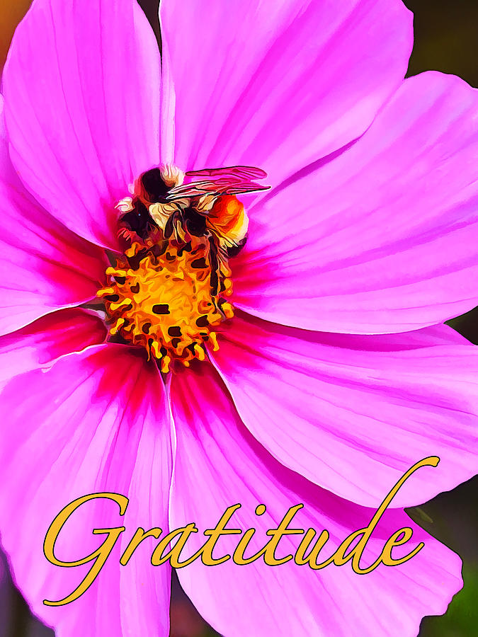 Gratitude Photograph by ABeautifulSky Photography by Bill Caldwell