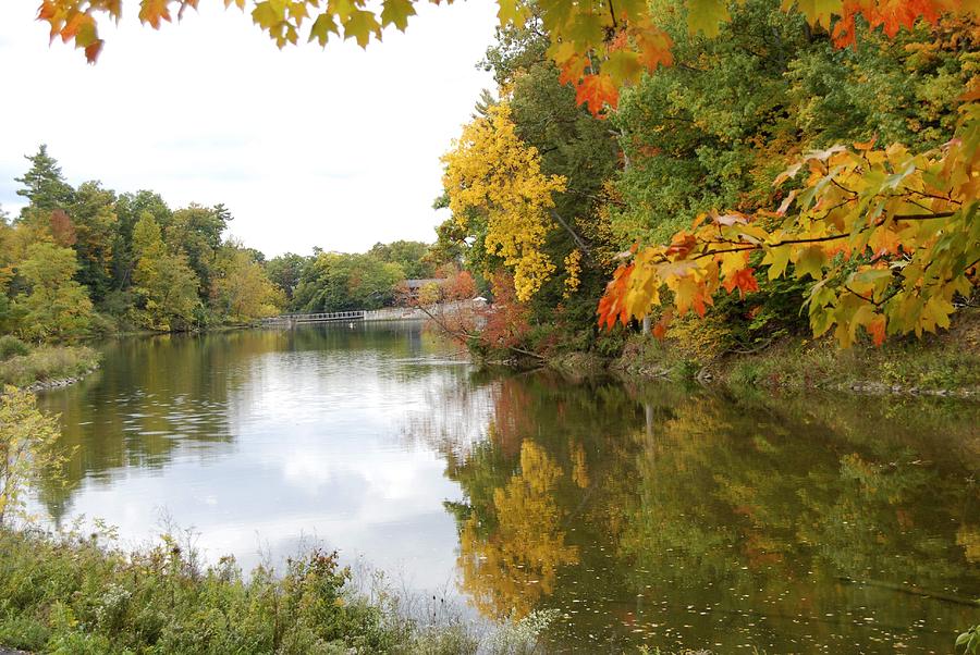 Beebe Lake Foliage - Cornell Photograph by Marianne Miles