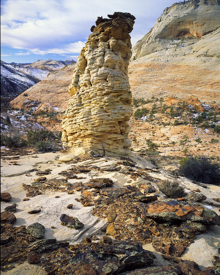 Beehive High Above Photograph by Ray Mathis