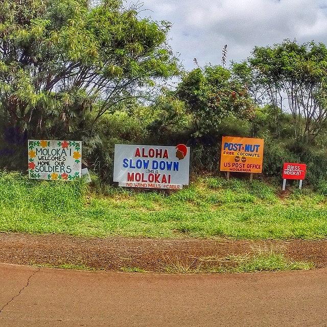 Molokai Photograph - Been Back On Oahu One Day And Already by Brian Governale