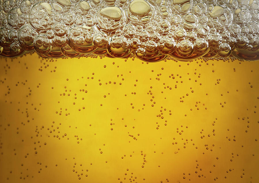 Beer Bubbles Photograph by Jeremy Hudson
