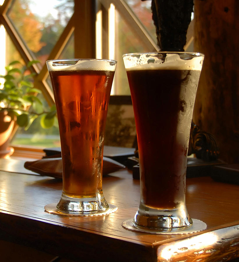 Two Craft Beers Photograph by David Lee Thompson