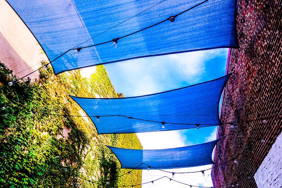 Beer Garden Ceiling Photograph By Timothy Schultz