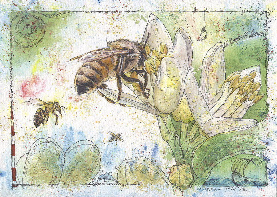 Bees and Lemon Blossom Painting by Petra Rau