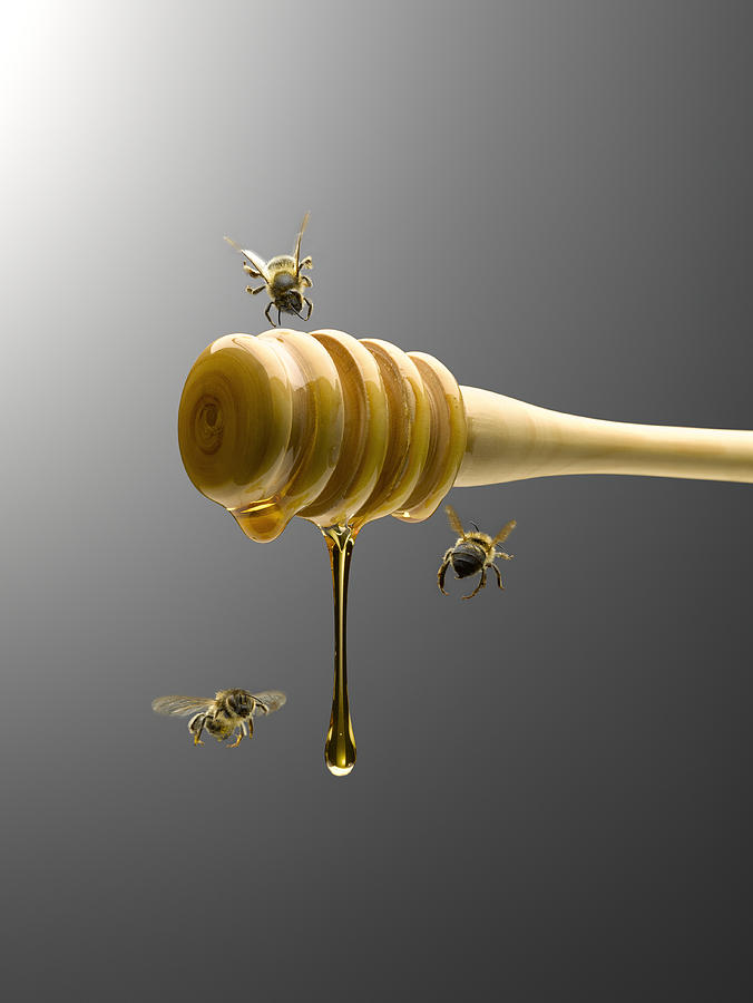 Bees flying around honey dipper dripping with honey Photograph by Andy Roberts