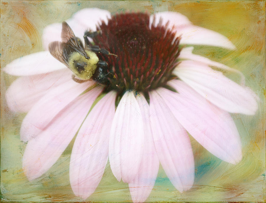 Beesotted Digital Art by Michelle Ayn Potter