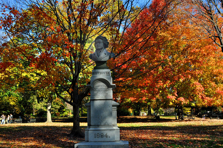 Fall Photograph - Beethoven in Autumn by Diane Lent