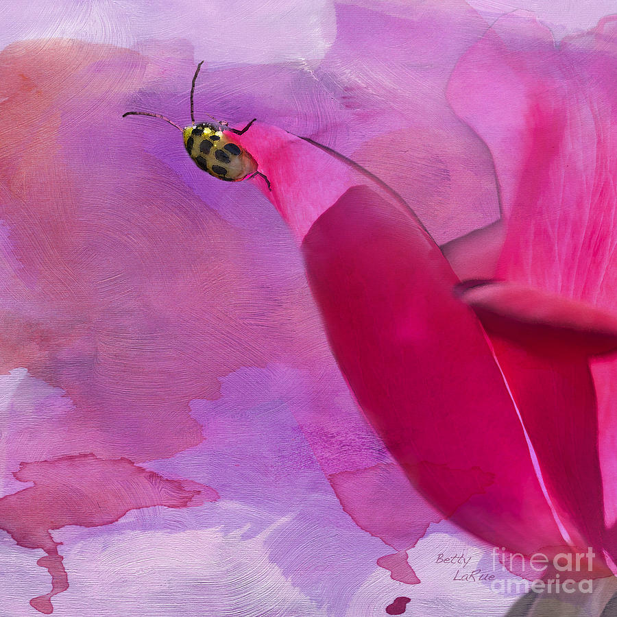 Beetle on a Rose Photograph by Betty LaRue