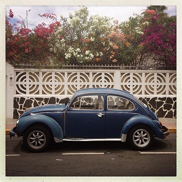 Vintage Photograph - #beetle #volkswagen #car Canarian by Luis Aviles