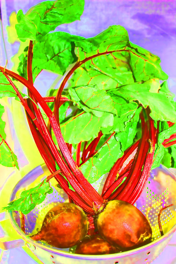 Beets  Photograph by Cathy Anderson
