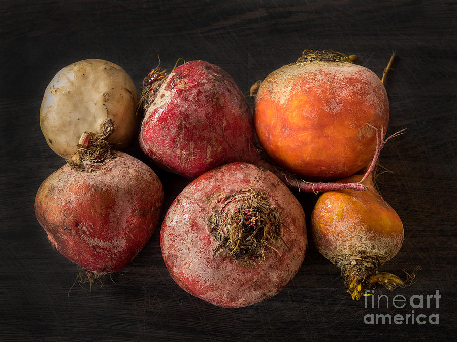 Beets in different colors on a dark background Photograph by Frank Bach