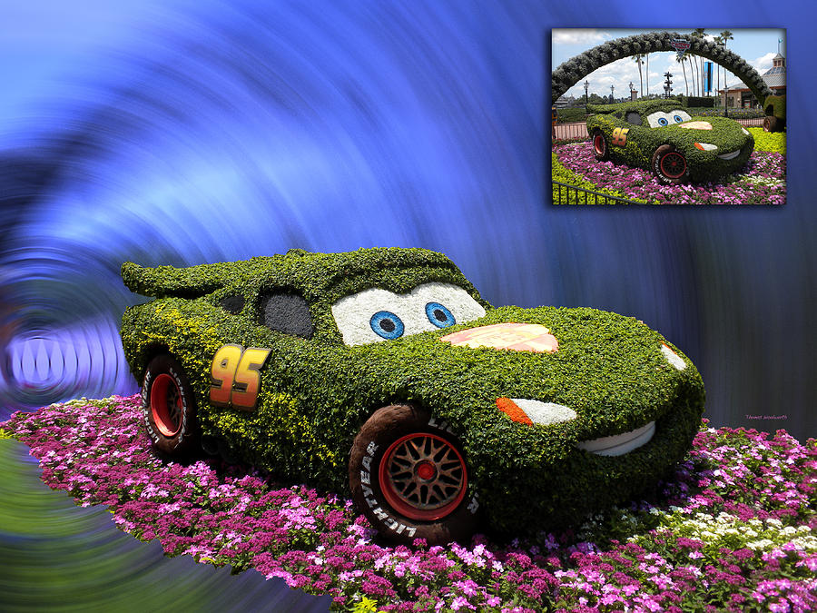 Before and After Sample Art 29 Floral Lightning McQueen Photograph by Thomas Woolworth
