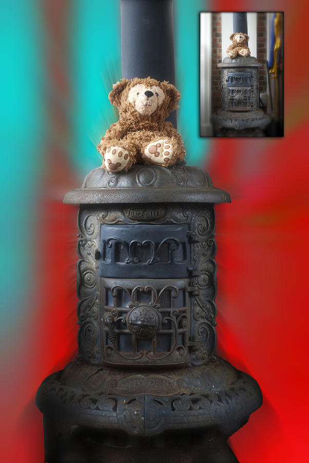 Before and After Sample Art 31 Stove Top Bear Photograph by Thomas Woolworth