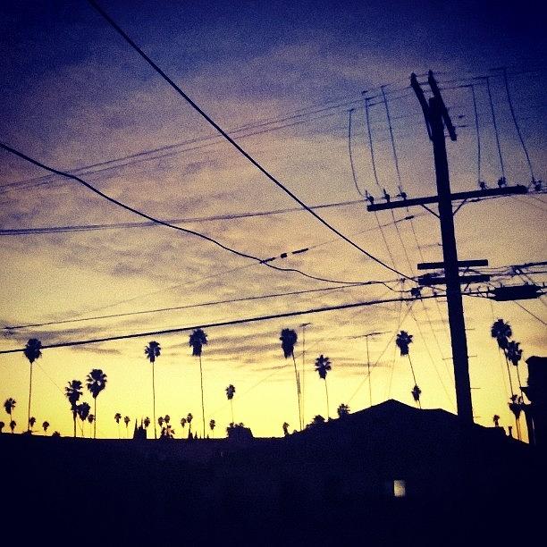 Losangeles Photograph - Before Night Falls..
#skinnypalms by David S Chang