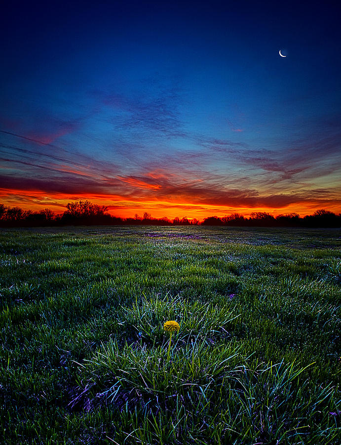 Before the Dawn Photograph by Phil Koch