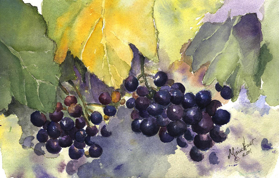 Vineyard Painting - Before the Harvest by Maria Hunt