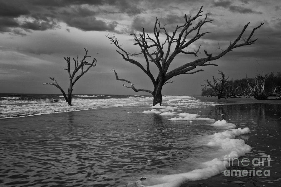 Before the Storm Botany Bay BW Photograph by Carrie Cranwill