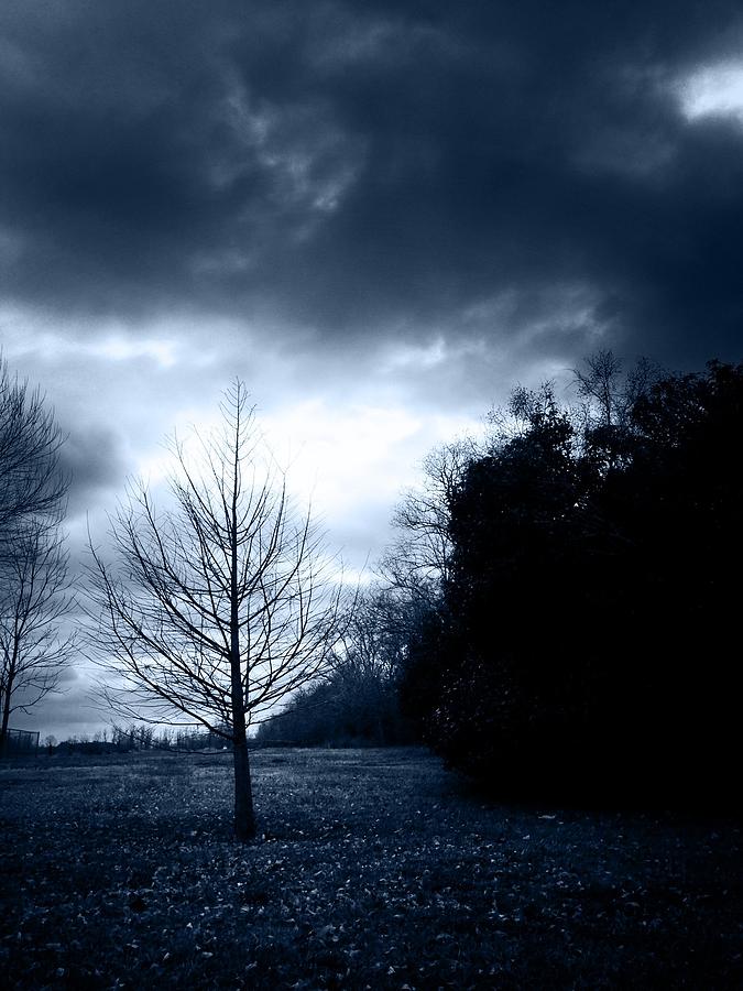 Tree Photograph - Before the Storm by Southern Tradition