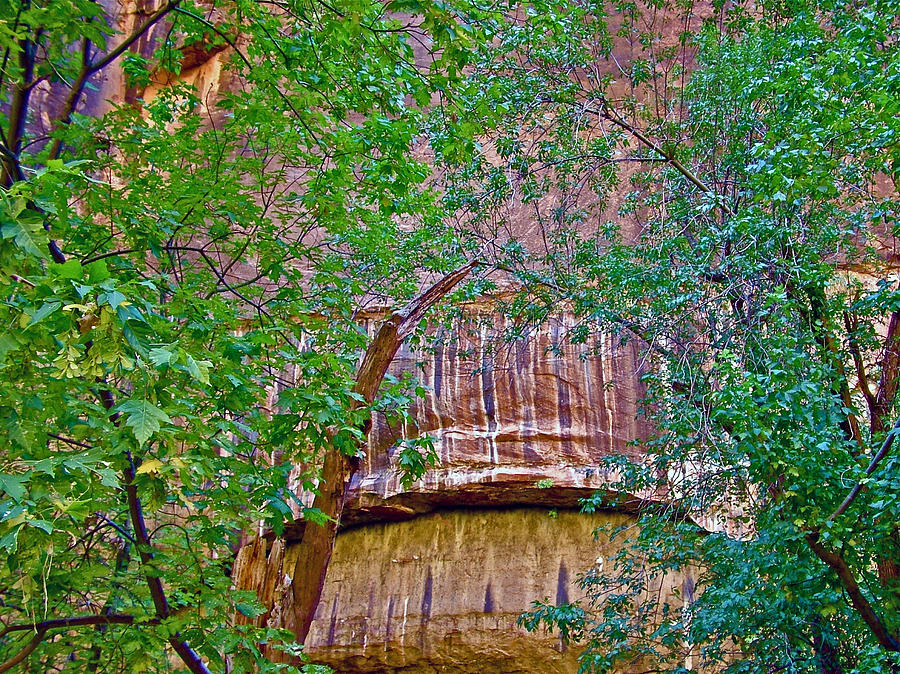 Beginning of an Arch by Riverside Walk in Zion Canyon in Zion National Park-Utah Photograph by Ruth Hager