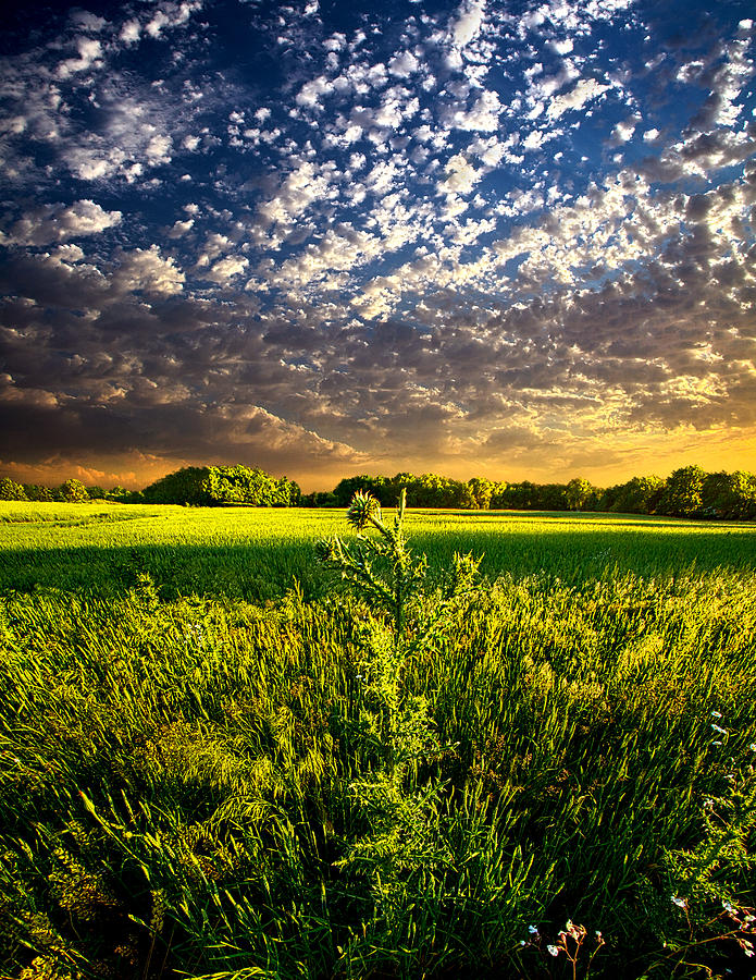 Beginnings Photograph by Phil Koch | Fine Art America