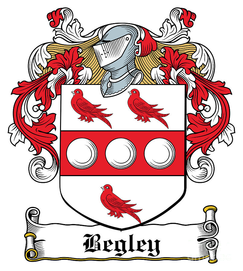 Begley Coat of Arms Irish Digital Art by Heraldry - Pixels