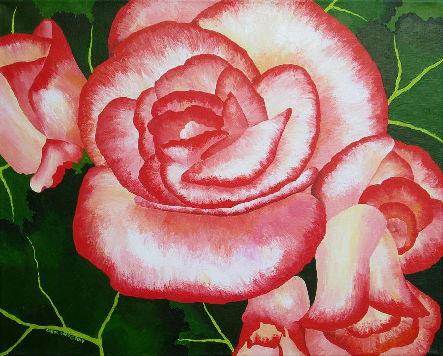 Begonias Painting by Carol Sabo