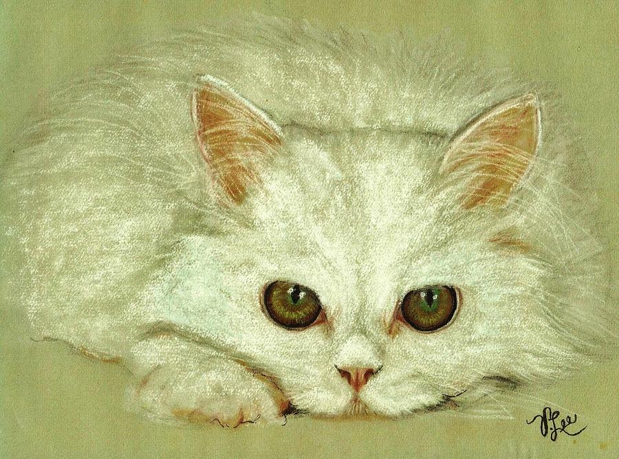 Cat Drawing - Beguiling Eyes by VLee Watson