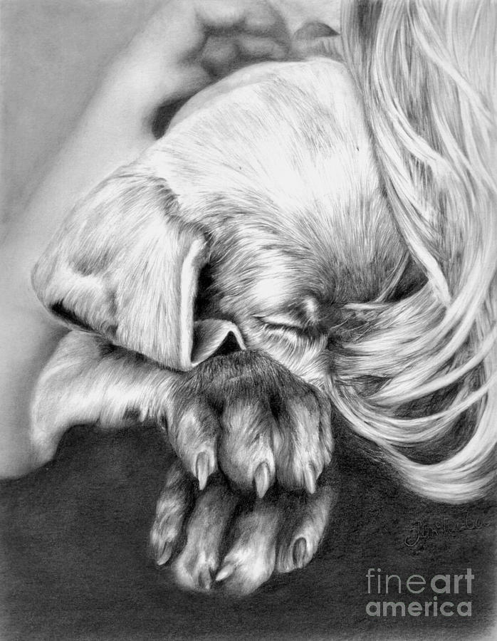 Weimaraner Dog Drawing - Behind Closed Paws by Sheona Hamilton-Grant