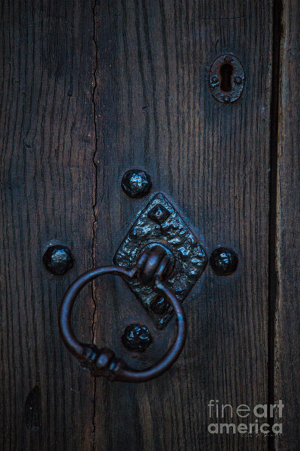 Castle Photograph - Behind Locked Doors by Iris Richardson