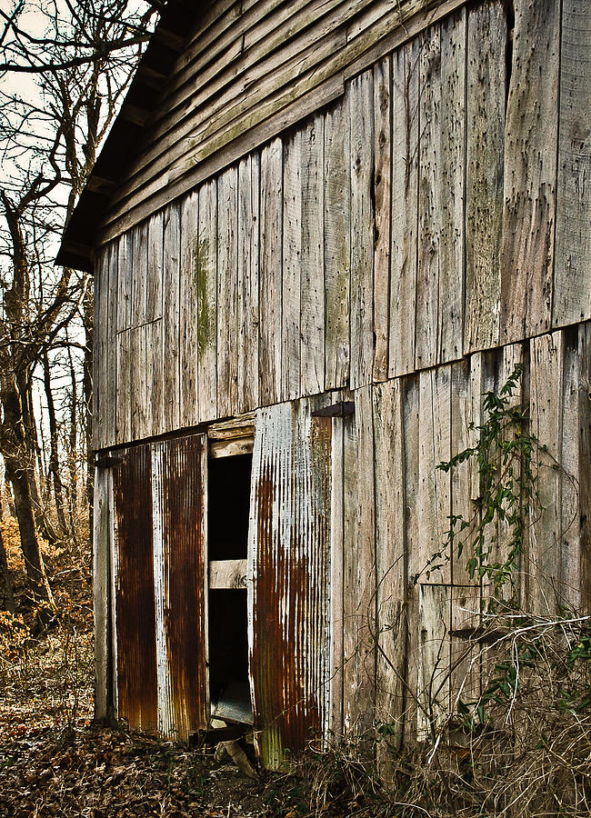Behind the Barn Photograph by Greg Jackson